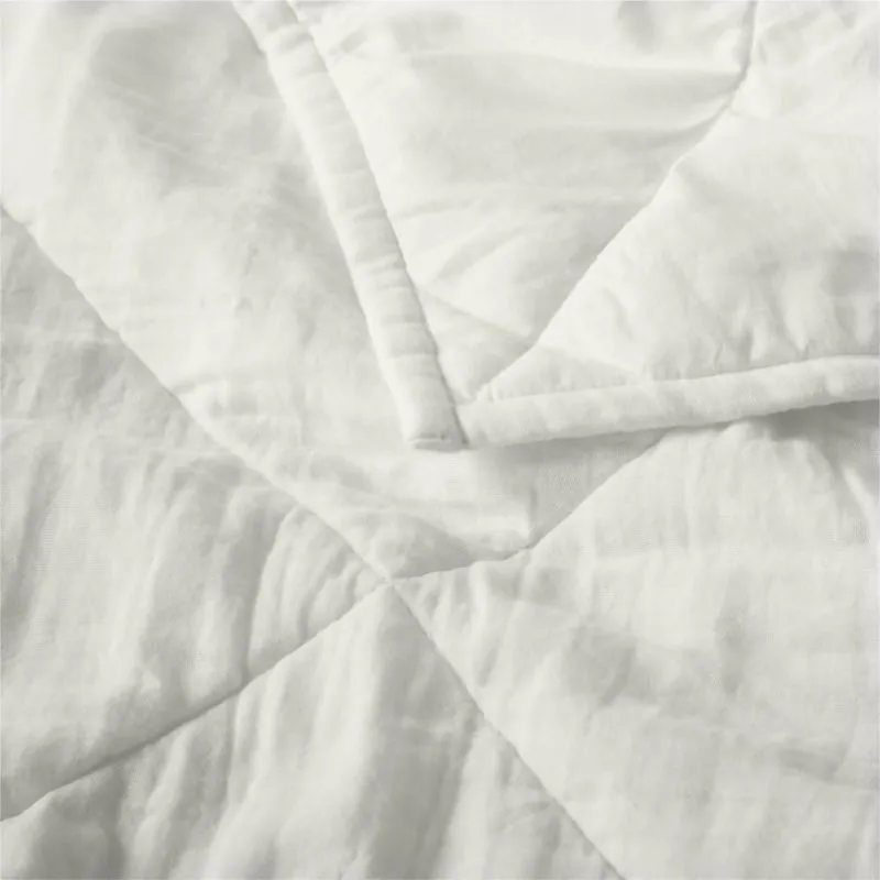 Crate&Barrel Supersoft Kids Pampas Ivory Gauze Cotton Twin Quilt