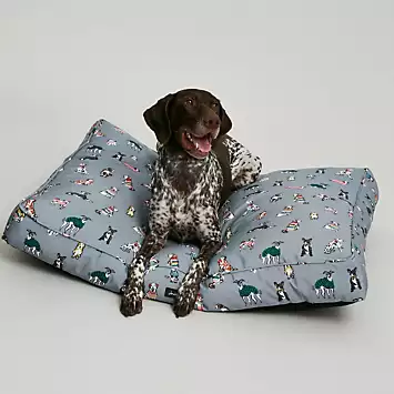 Joules Rainbow Medium Dogs Mattress | Kaleidoscope