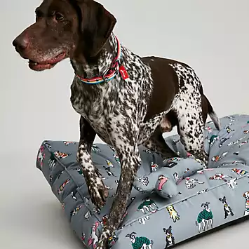 Joules Rainbow Medium Dogs Mattress | Kaleidoscope