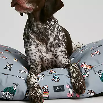 Joules Rainbow Medium Dogs Mattress | Kaleidoscope