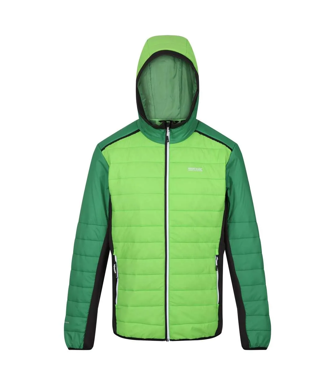 Mens trutton ii baffled padded jacket jasmine green/field green Regatta