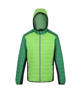 Mens trutton ii baffled padded jacket jasmine green/field green Regatta