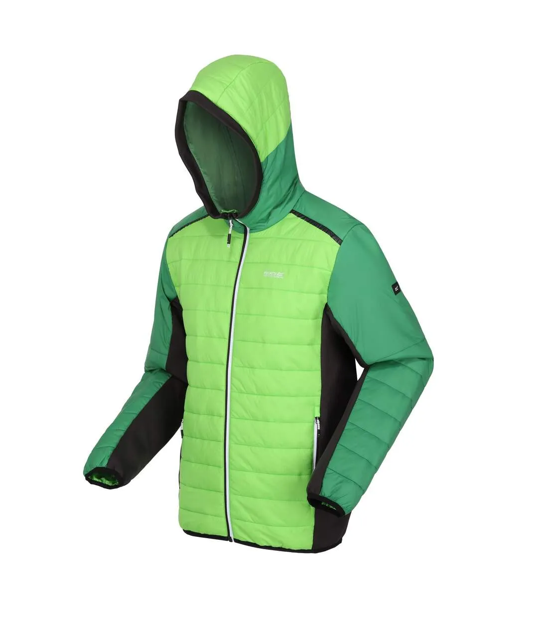 Mens trutton ii baffled padded jacket jasmine green/field green Regatta