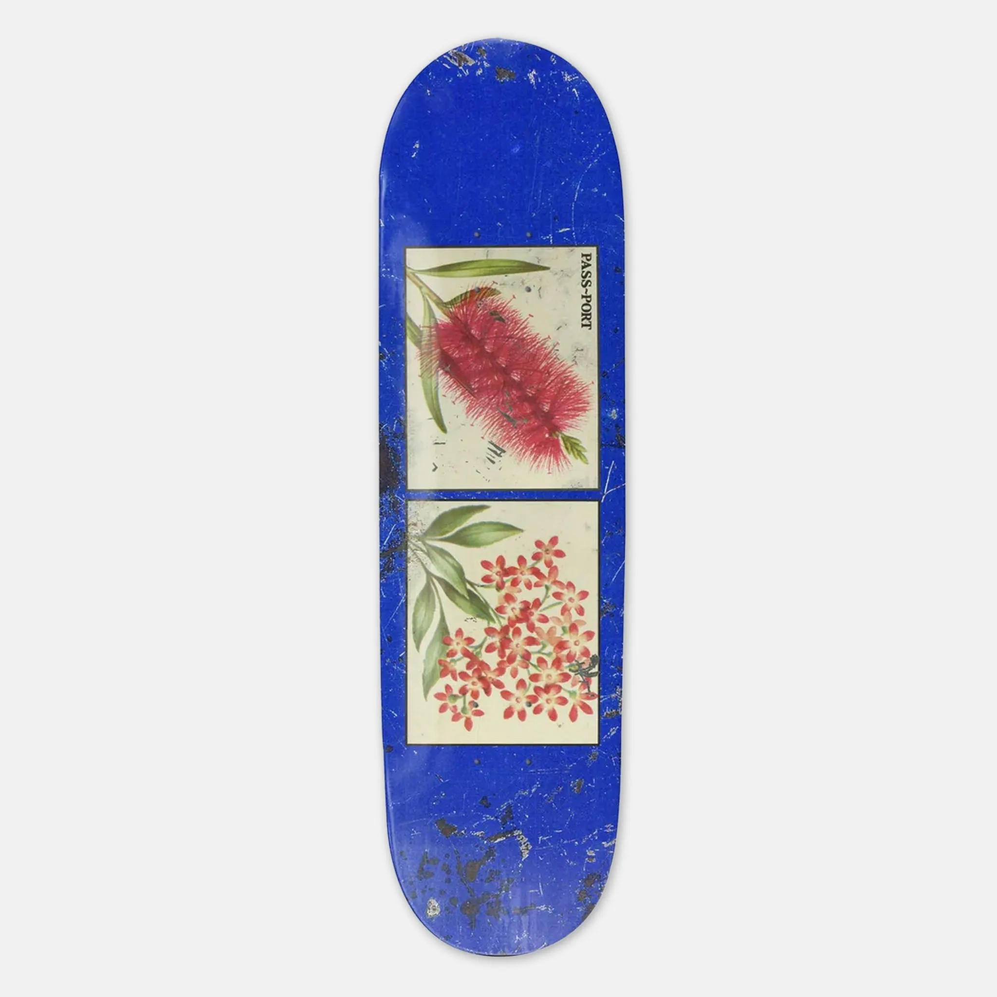 Pass Port Skateboards - 8.38 Bottles And Stars Tin Floral Series Deck